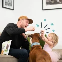 Edgard & Cooper Mach'sticks Pomme Et Eucalyptus Grand Chien 240 G -Trixie Soldes chien dental adulte naturel eucalyptus pomme 240g 3