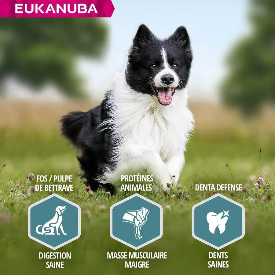 Eukanuba Chien Adulte Petite Et Moyenne Race Agneau Et Riz 2.5 Kg – Image 5