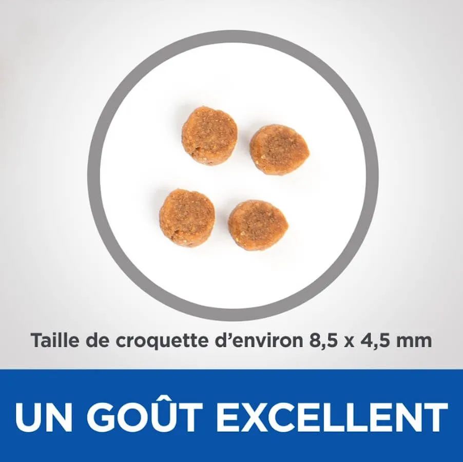 Hill's Vetessential No Grain Hill's Science Plan VetEssentials Feline Adult No Grain Thon & Pommes De Terre 2,5 Kg 3 Hill's Vetessential No Grain Hill's Science Plan VetEssentials Feline Adult No Grain Thon & Pommes De Terre 2,5 Kg – Image 3