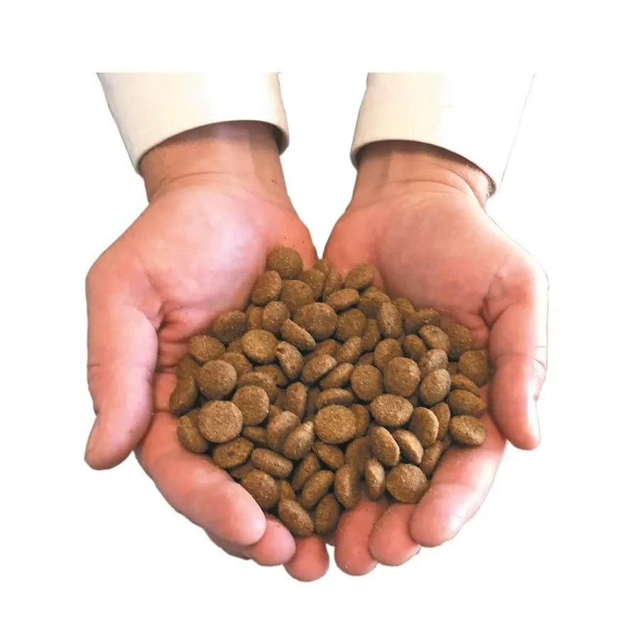 Canichef Croquettes BIO Sans Céréales, Sans Gluten Chien Grande Race 5 Kg 3 Canichef Croquettes BIO Sans Céréales, Sans Gluten Chien Grande Race 5 Kg – Image 3