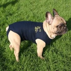 Medical Pet Shirt Chien L 5 Medical Pet Shirt Chien L -Trixie Soldes medical pet shirt chien 1 1 1 2 1