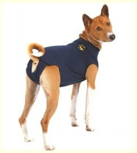 Medical Pet Shirt Chien L 2 Medical Pet Shirt Chien L – Image 2