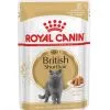 Royal Canin Breed Health Nutrition Royal Canin British Shorthair Adult 12 X 85 G