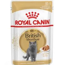 Royal Canin Breed Health Nutrition Royal Canin British Shorthair Adult 12 X 85 G