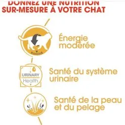 Royal Canin Breed Health Nutrition Royal Canin British Shorthair Adult 12 X 85 G -Trixie Soldes royal canin british shorthair adult 12 x 85 g3