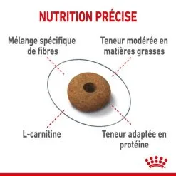 Royal Canin Feline Health Nutrition Royal Canin Feline Care Nutrition Appetite Control 2 Kg 5 Royal Canin Feline Health Nutrition Royal Canin Feline Care Nutrition Appetite Control 2 Kg -Trixie Soldes royal canin fe line care nutrition sterilised appetite control3 1
