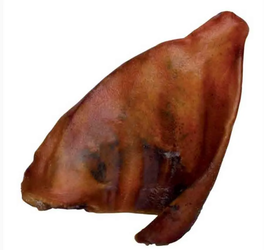 Zolux Oreille De Porc Séchée X 100 2 Zolux Oreille De Porc Séchée X 100 – Image 2